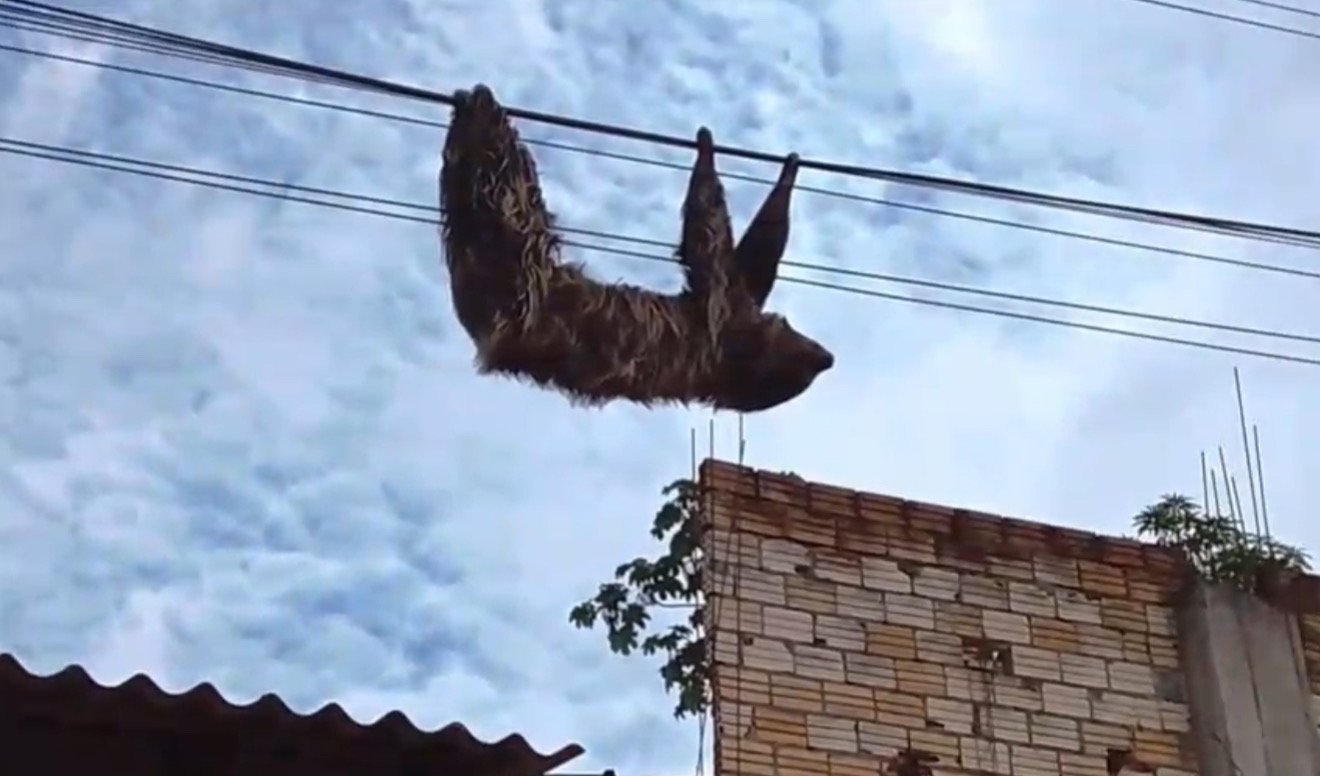 Plantão 24horas News