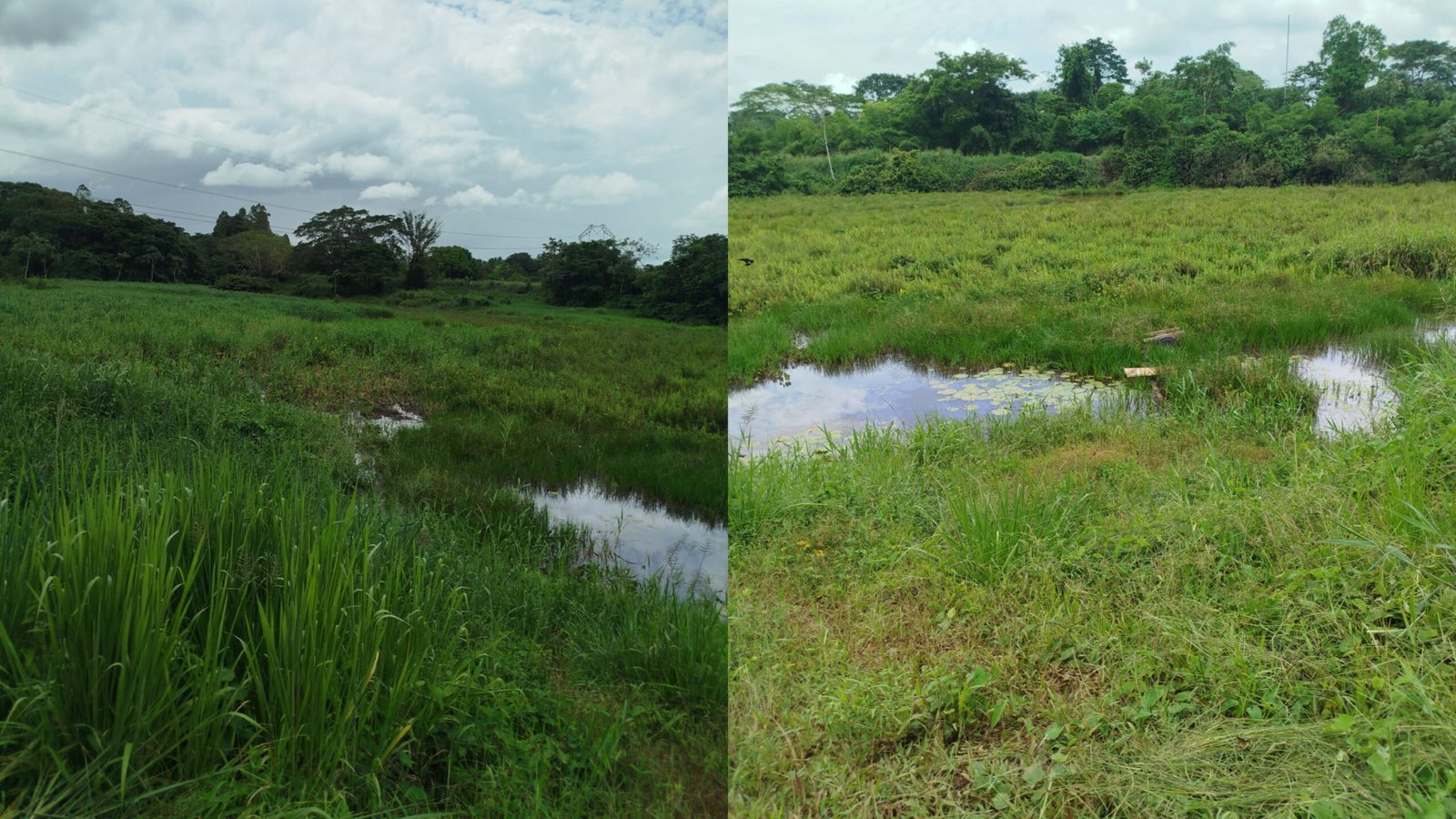 Plantão 24horas News