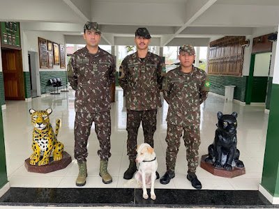 Junior Ribeiro / Itaituba ParÃ¡