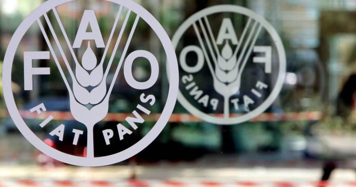 Logo da FAO na sede da agência, em Roma, Itália  • Estela Aguiar
