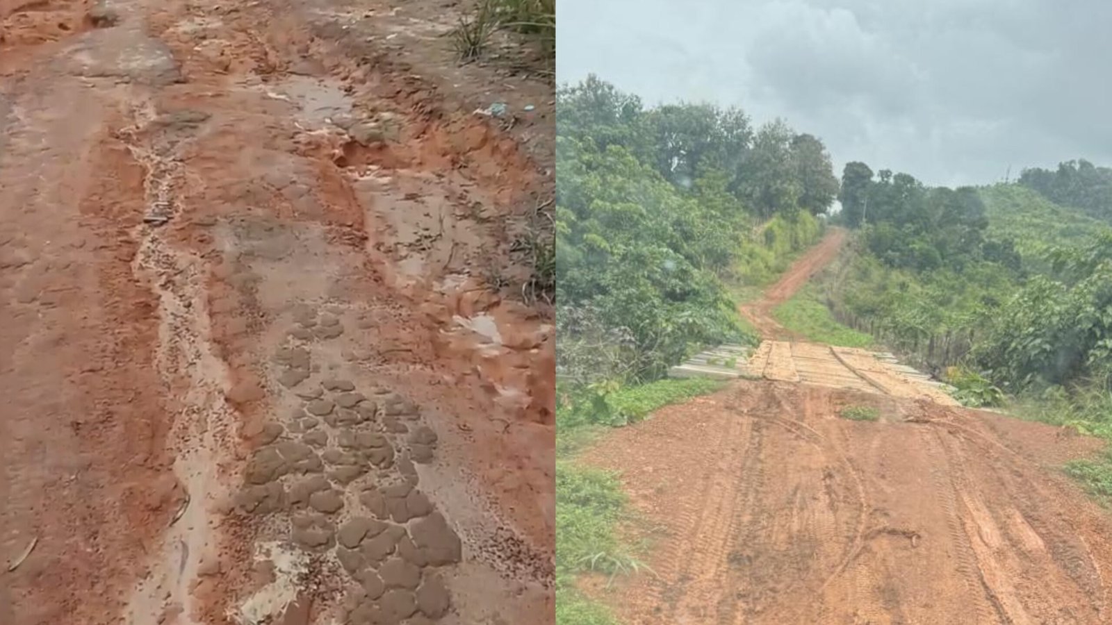 Plantão 24horas News