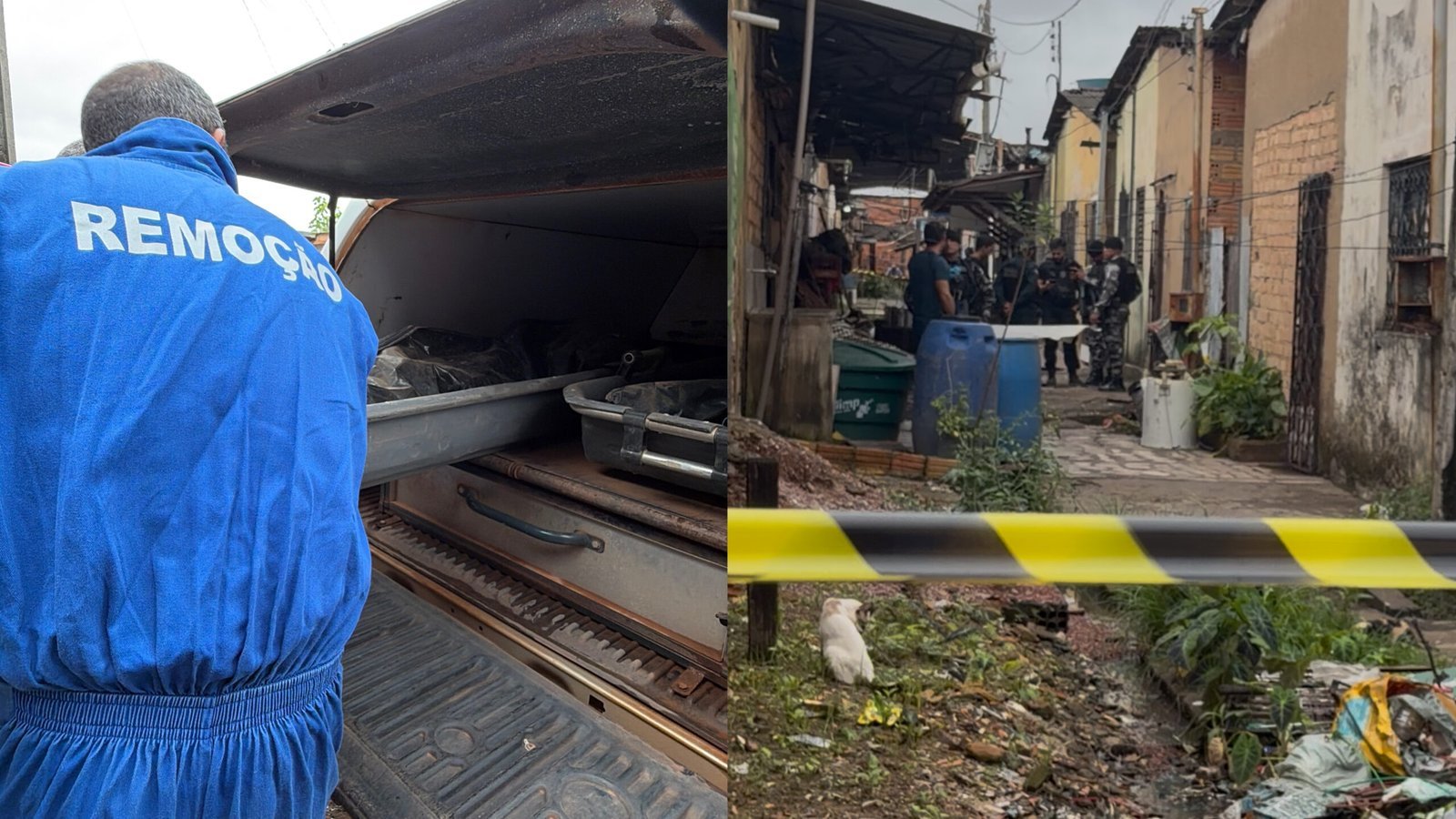 Plantão 24horas News