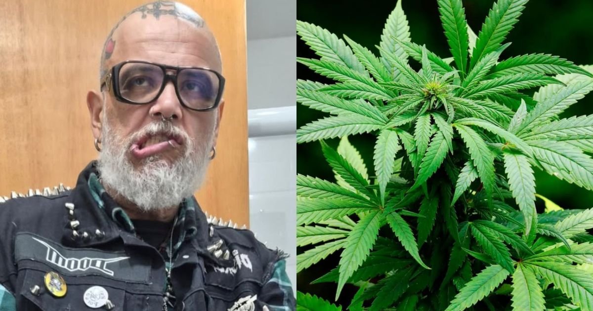   • Reprodução / Cytis / Pixabay