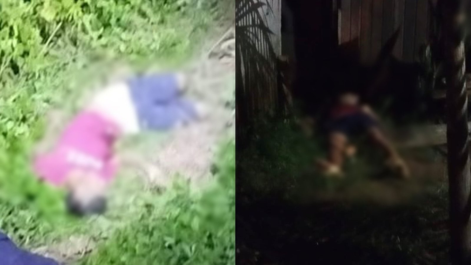 Plantão 24horas News