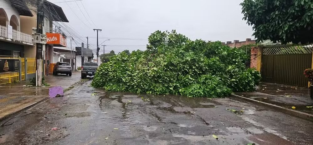Plantão 24horas News